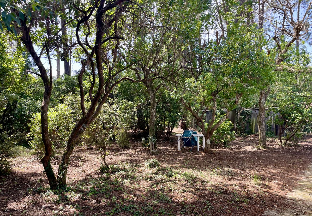 Ferienhaus in Lacanau - Familienhaus mit großem Garten inmitten der Kiefern