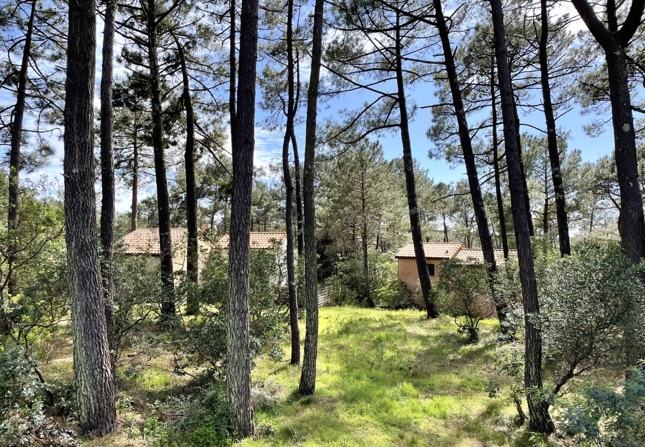 House in Lacanau - House among the pines between golf course and ocean