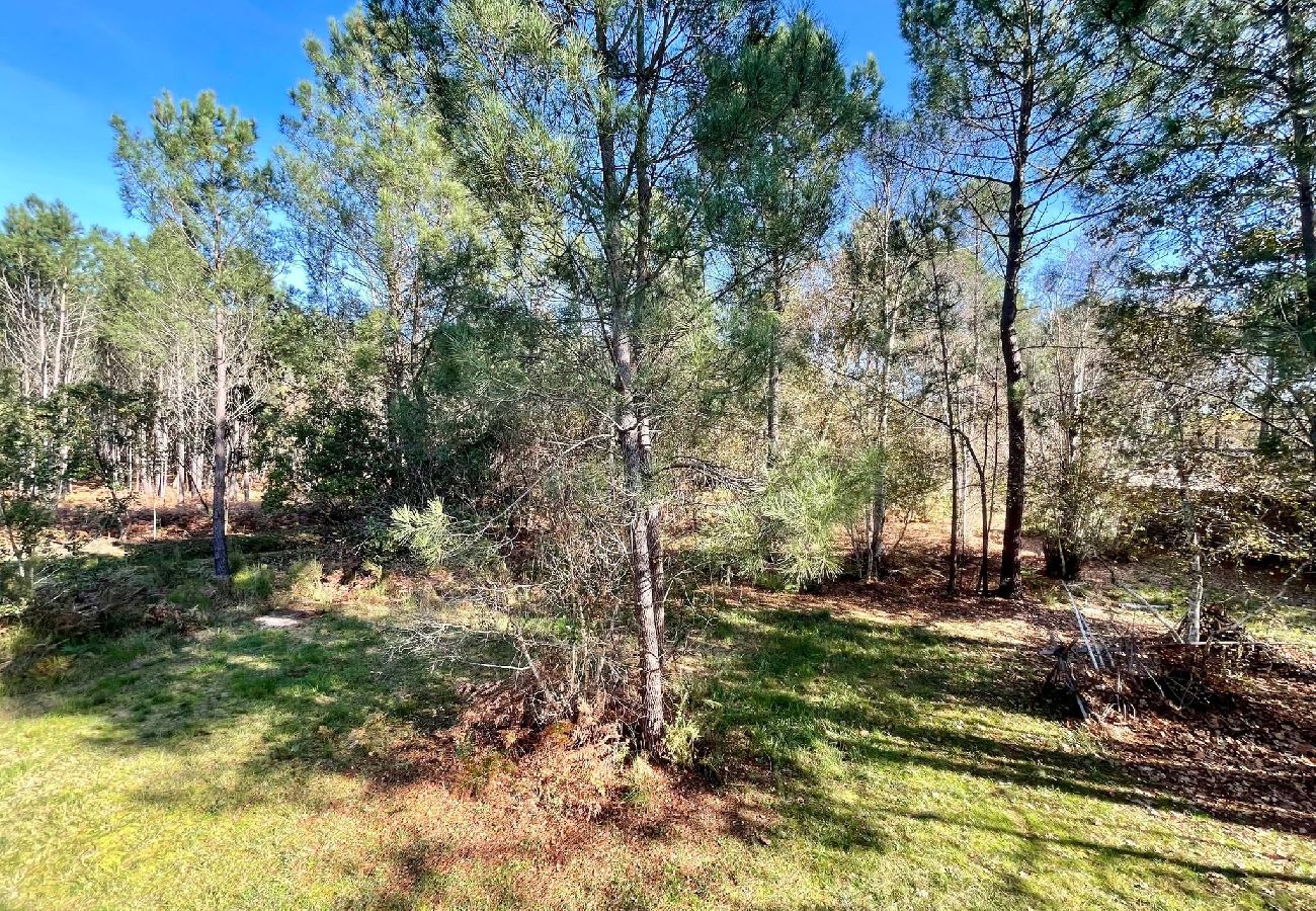 House in Lacanau - Peaceful house in the heart of the pine forest