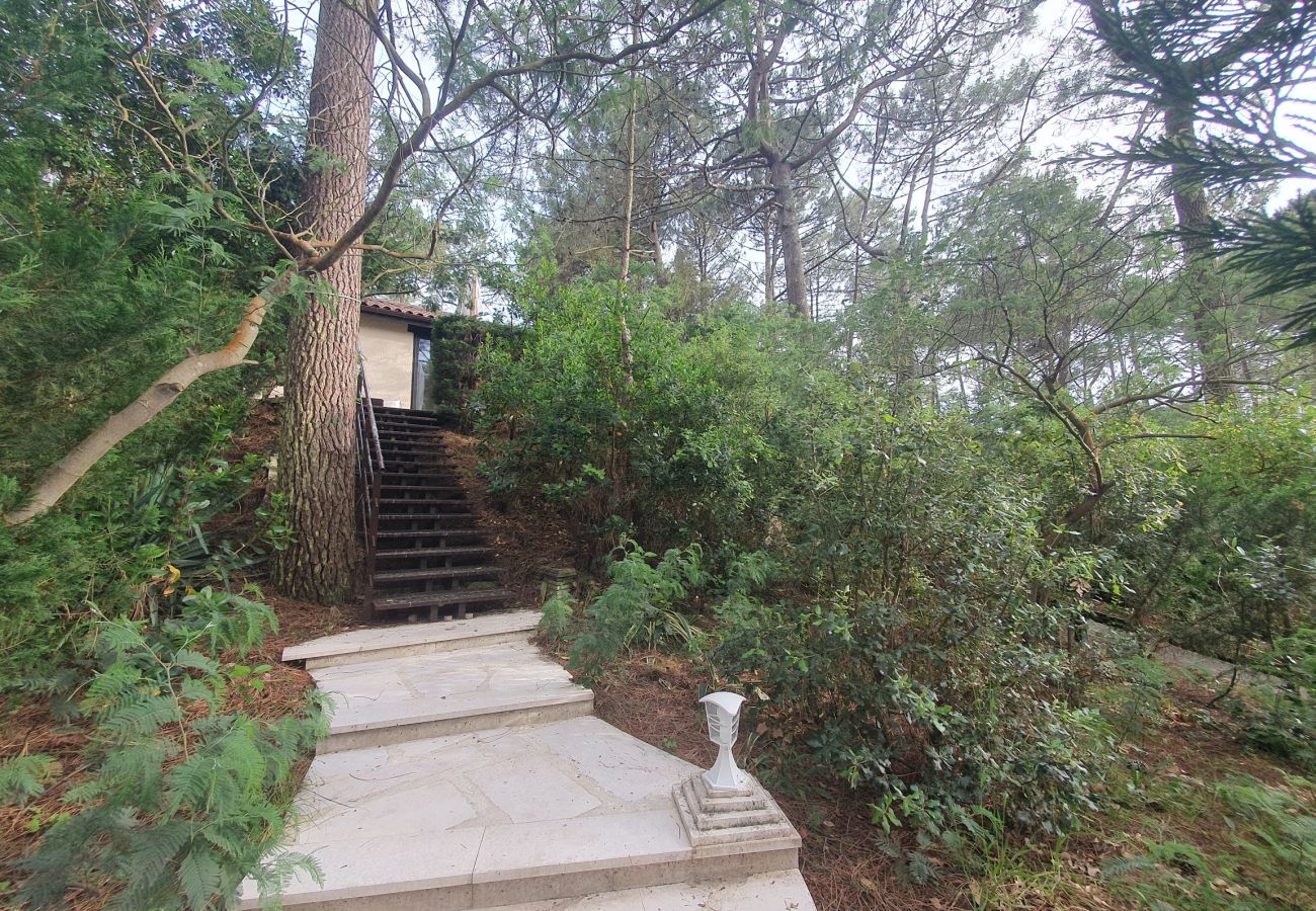 Terraced House in Lacanau - Charming house in the heart of the pine forest