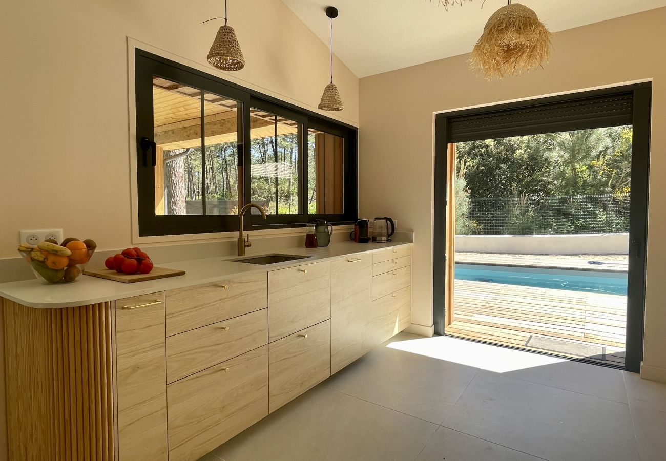 Villa in Lacanau - 🌲 Exceptional villa with pool & forest view 🏡