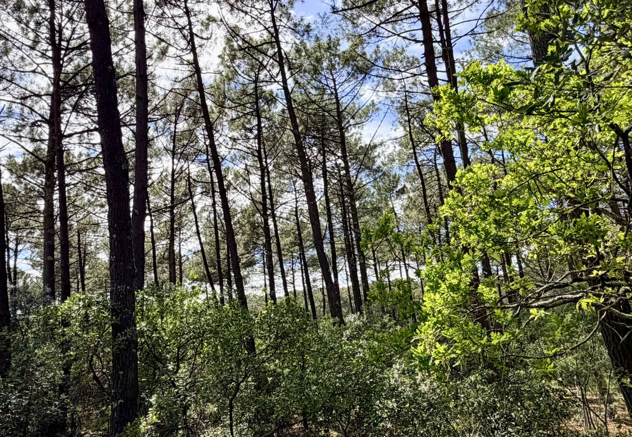 Chalet in Lacanau - Small house in the middle of the pine trees