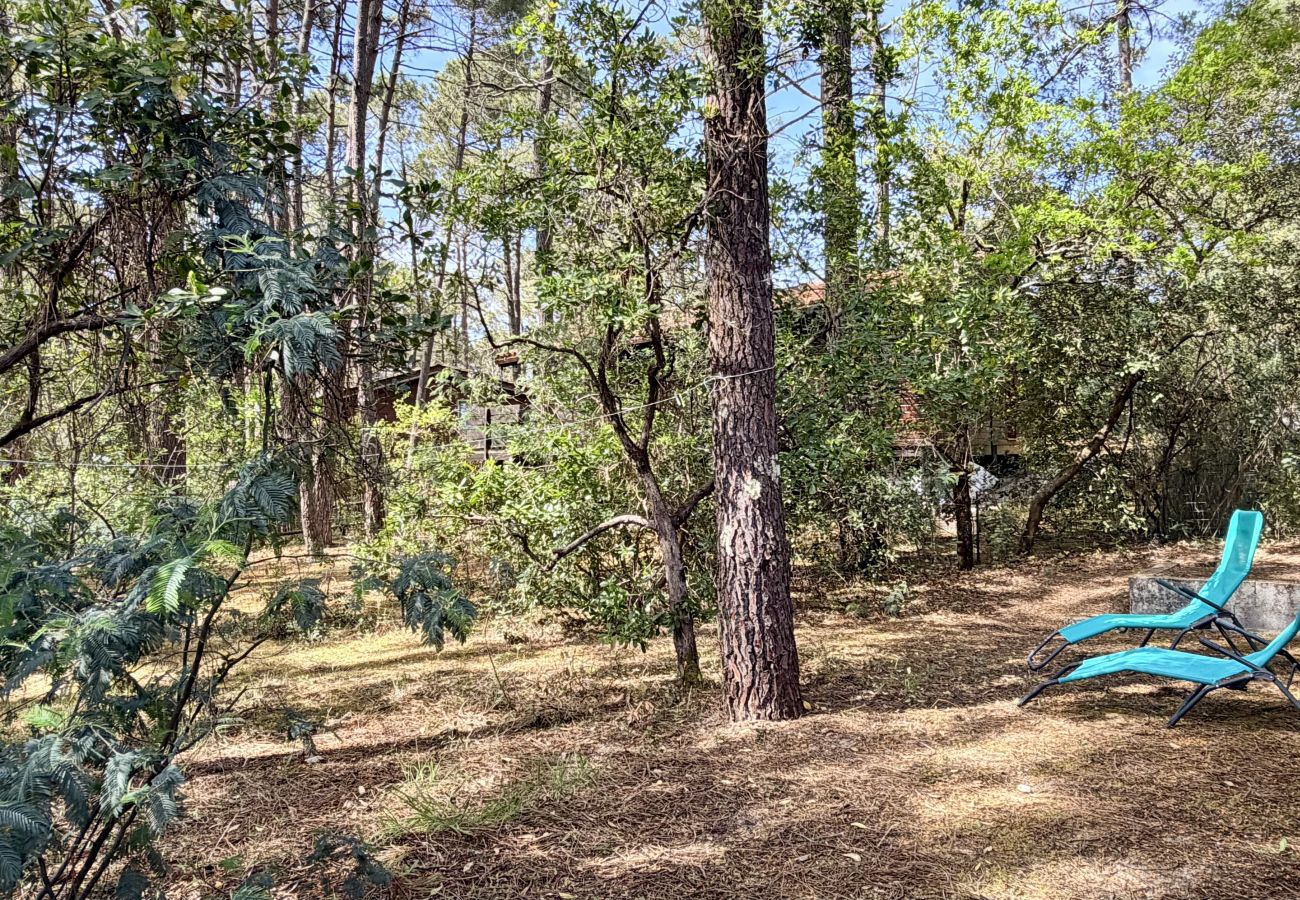 Chalet à Lacanau - Petite maison au milieu des pins 